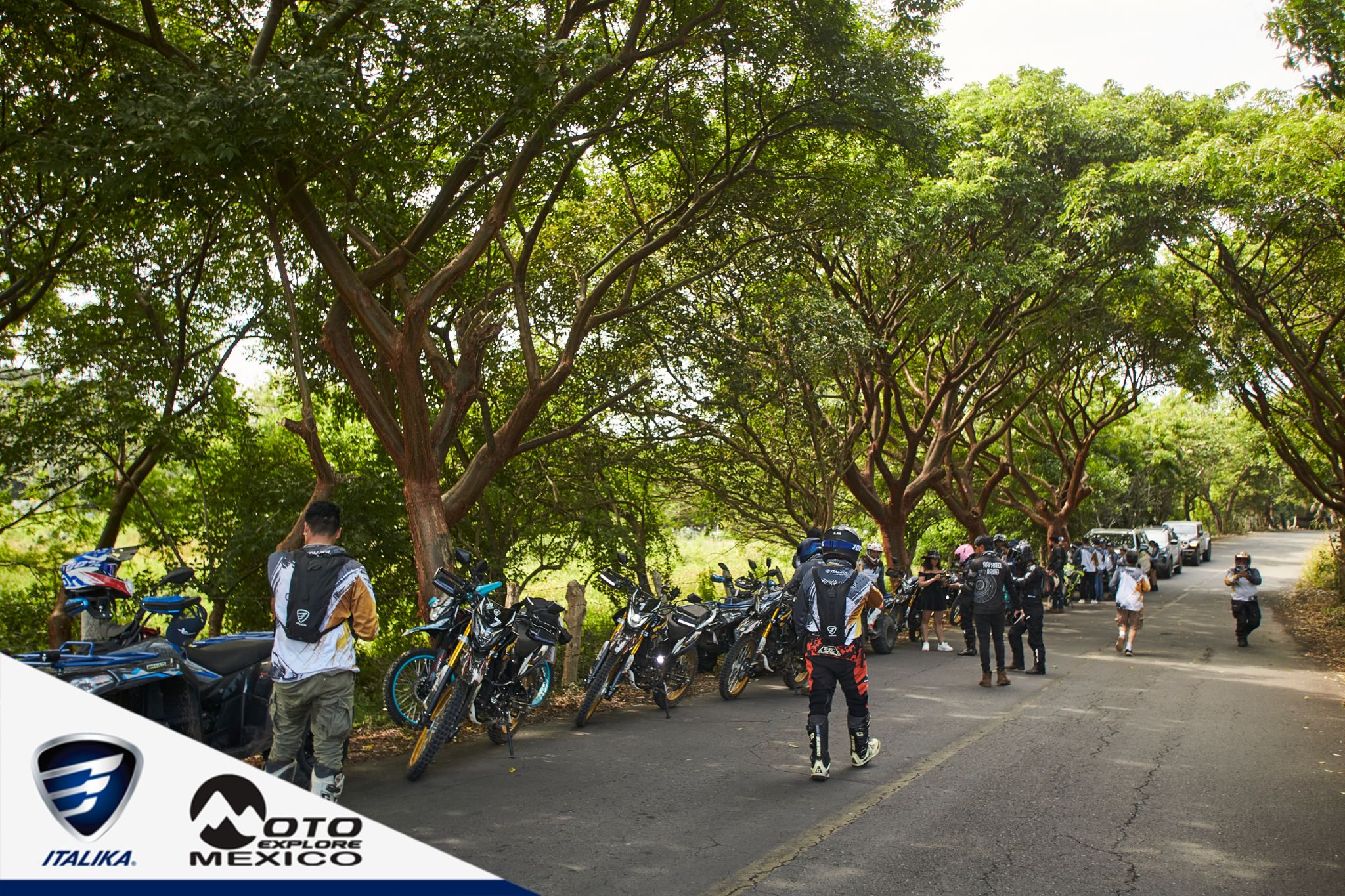 ITALIKA CHACHALACAS D1 231